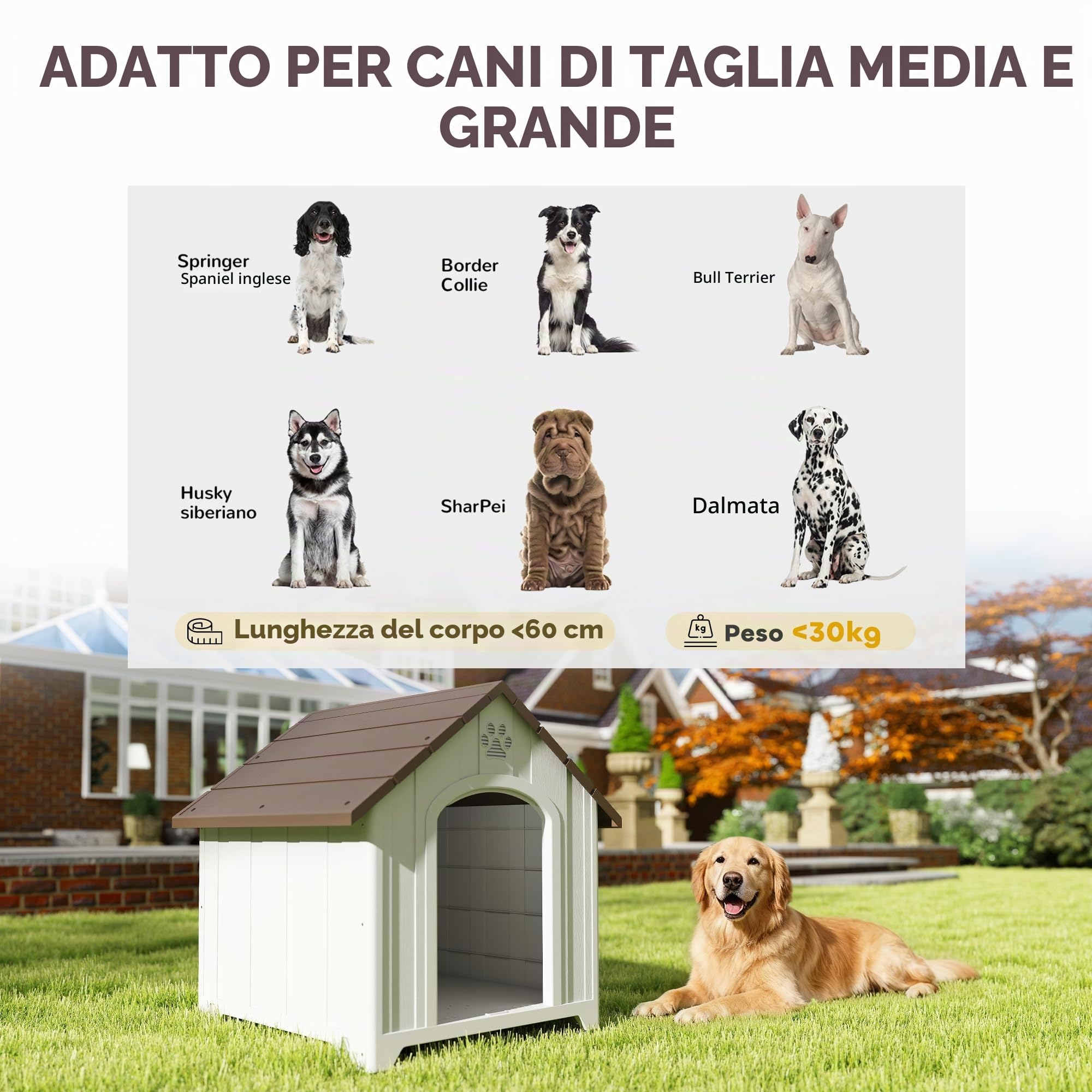 PawHut Casa impermeabile per cani esterno, pav. rialzato, grigio chiaro