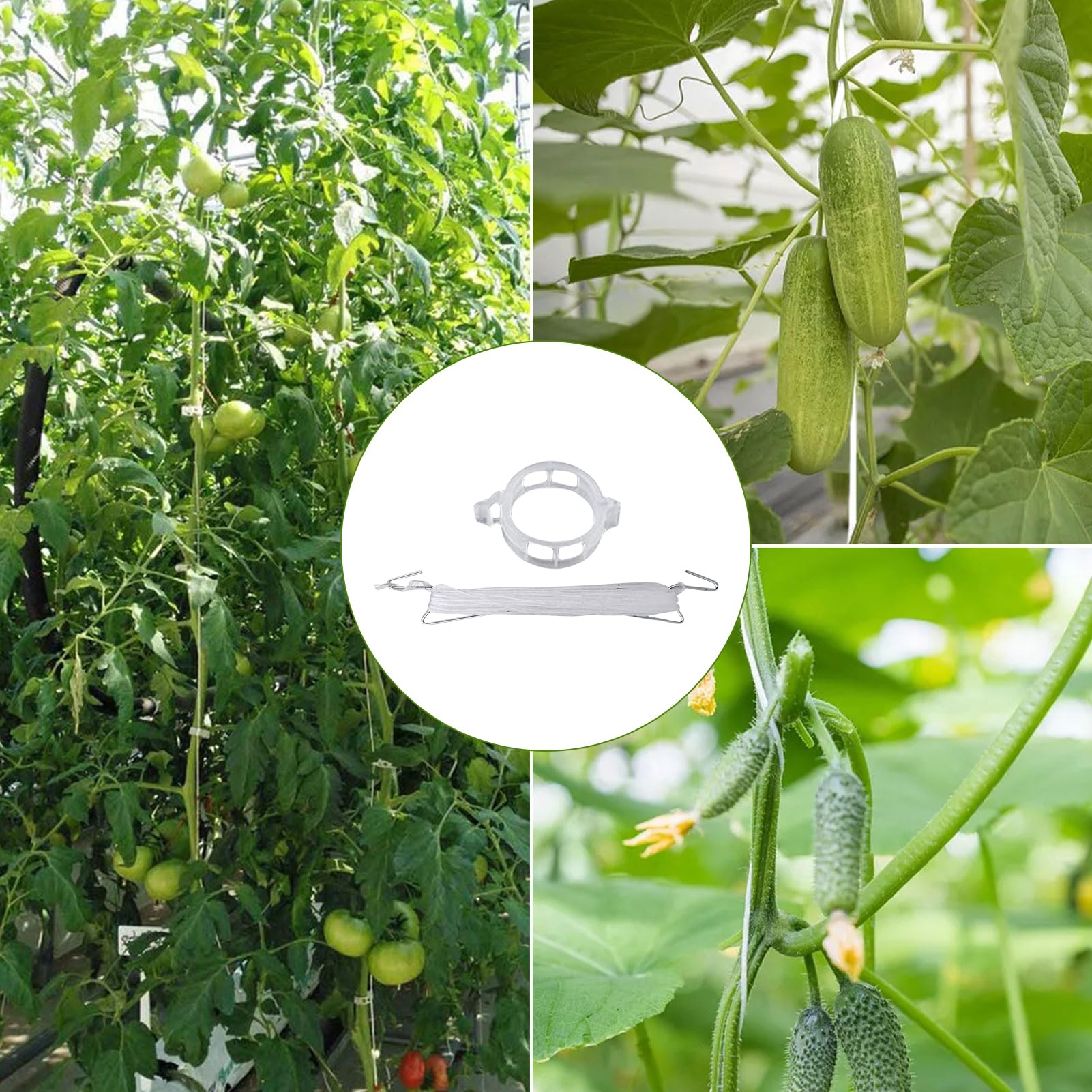 Ganci Per Pomodori Con Spago 10 Pezzi Riutilizzabili Per Uso Intensivo | Clip Per Piante Rampicanti E Ganci Per Spago Di Per Esterno Verdura Frutta Piante Fiori Cetriolo Anguria Uva Luffa