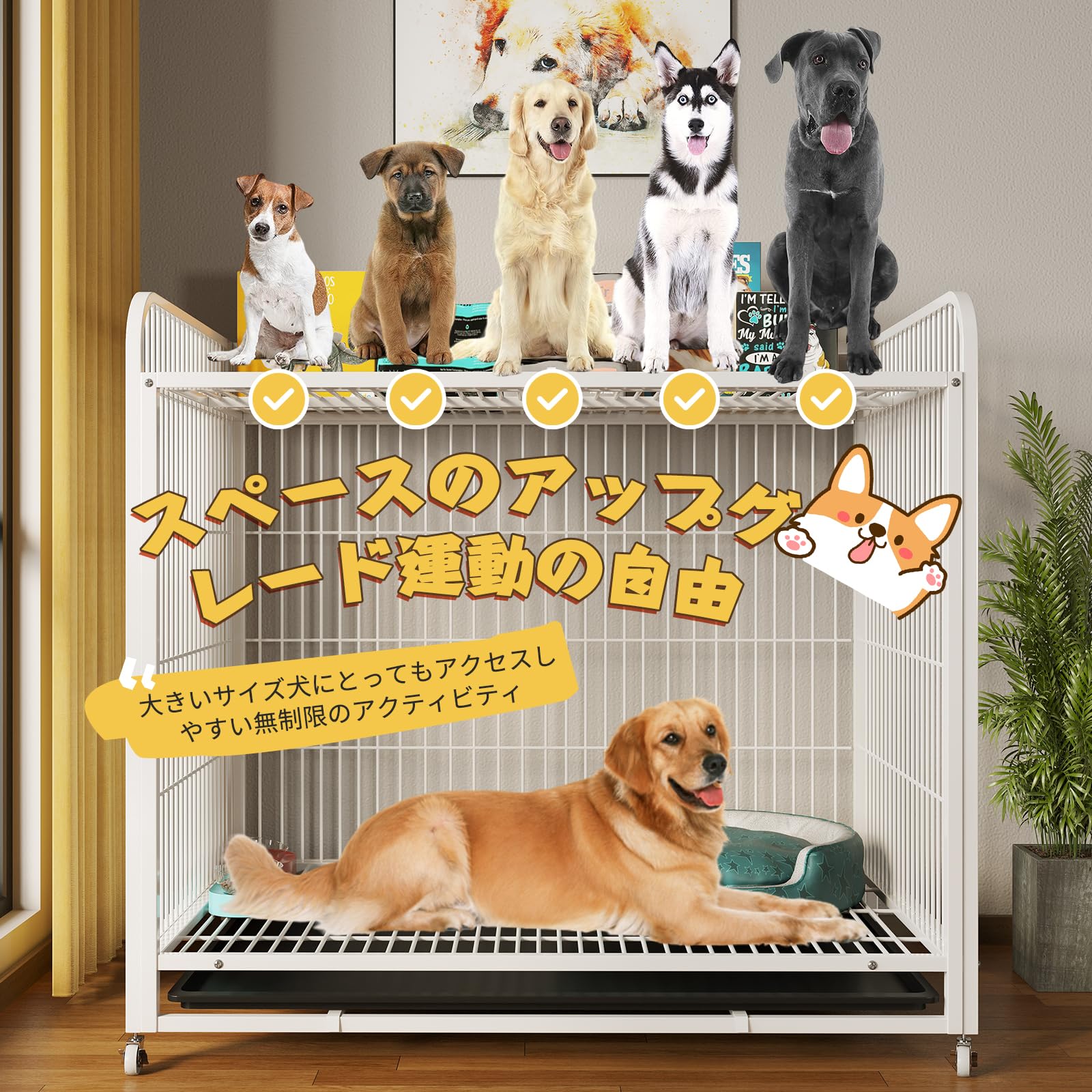 犬ページ オーダー ピカピカ 477～480 、494～496 J. Morita Root ZX II