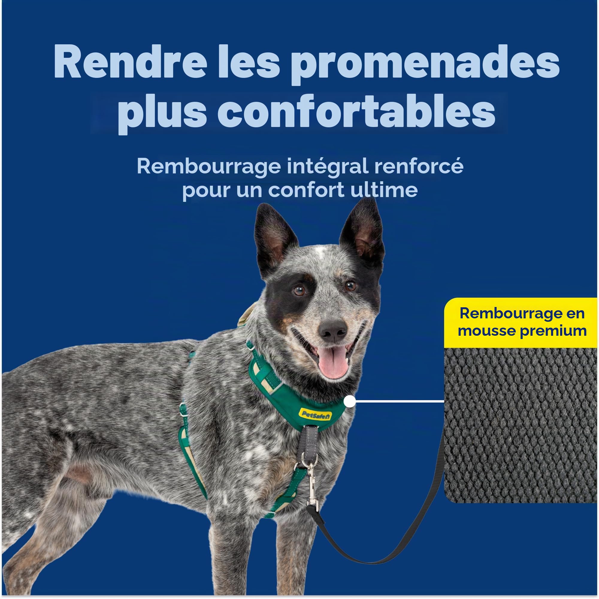 PetSafe Easy Walk Harnais Confortable Anti-Traction pour Chien Rembourrage intégral – Meilleure Marche Lors de la première Utilisation – 5 Points de réglage M/L – Vert