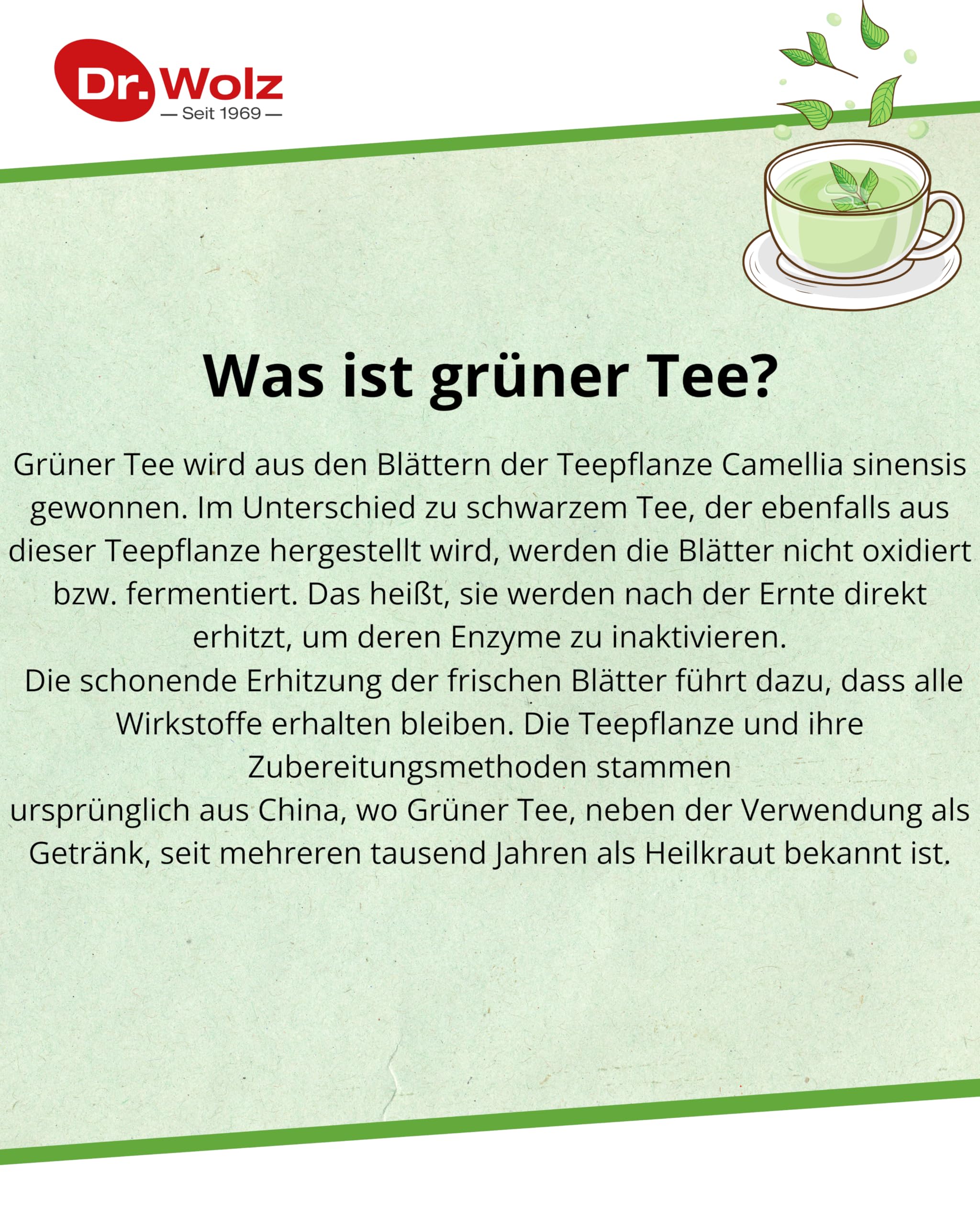 Dr. Wolz Grüntee-Extrakt, 120 St. Kapseln