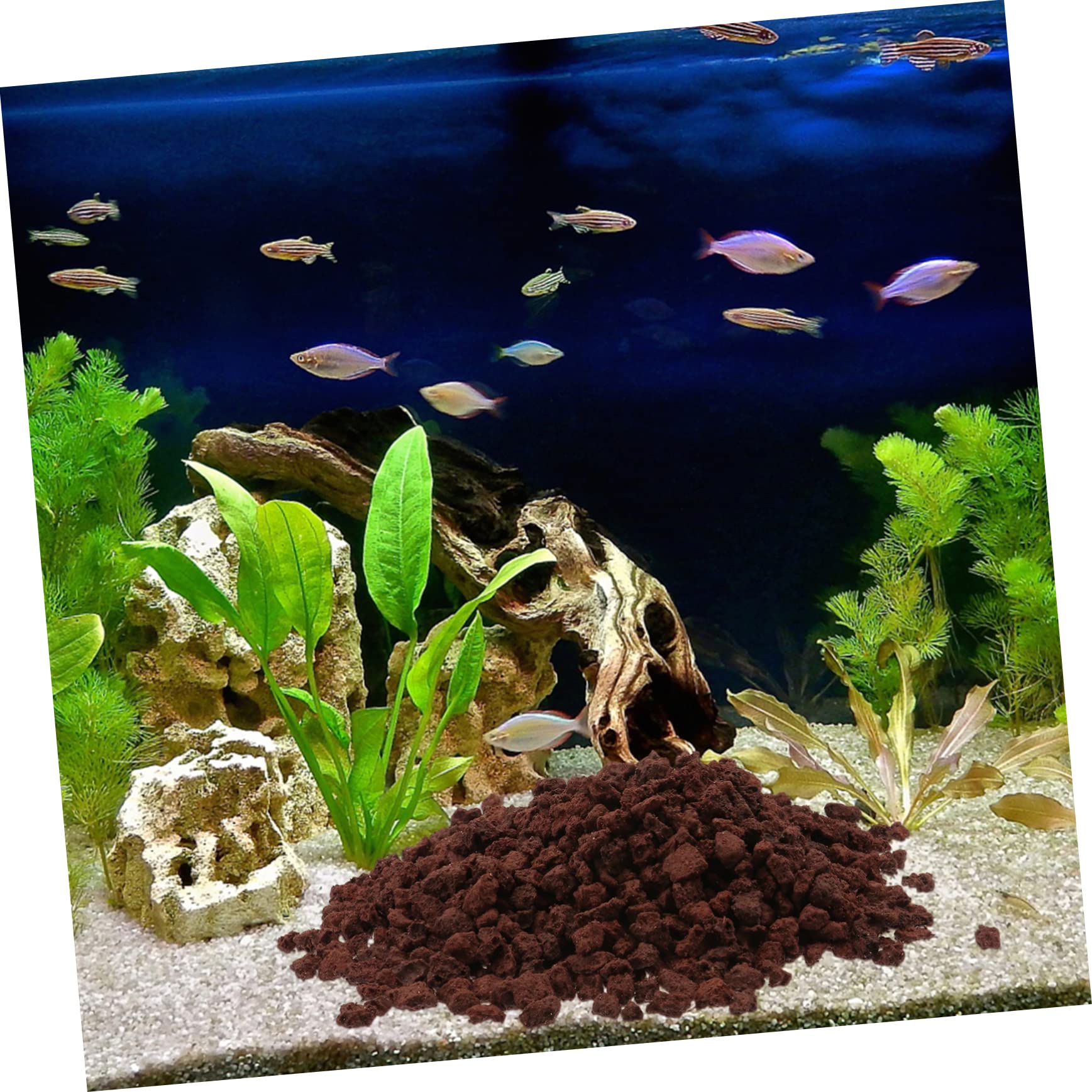 Gravier De Roche Volcanique pour Aquarium 500 G Habitat pour Aquarium Pierre De Récif Artificielle Paysage Naturel sans Danger pour Les Poissons