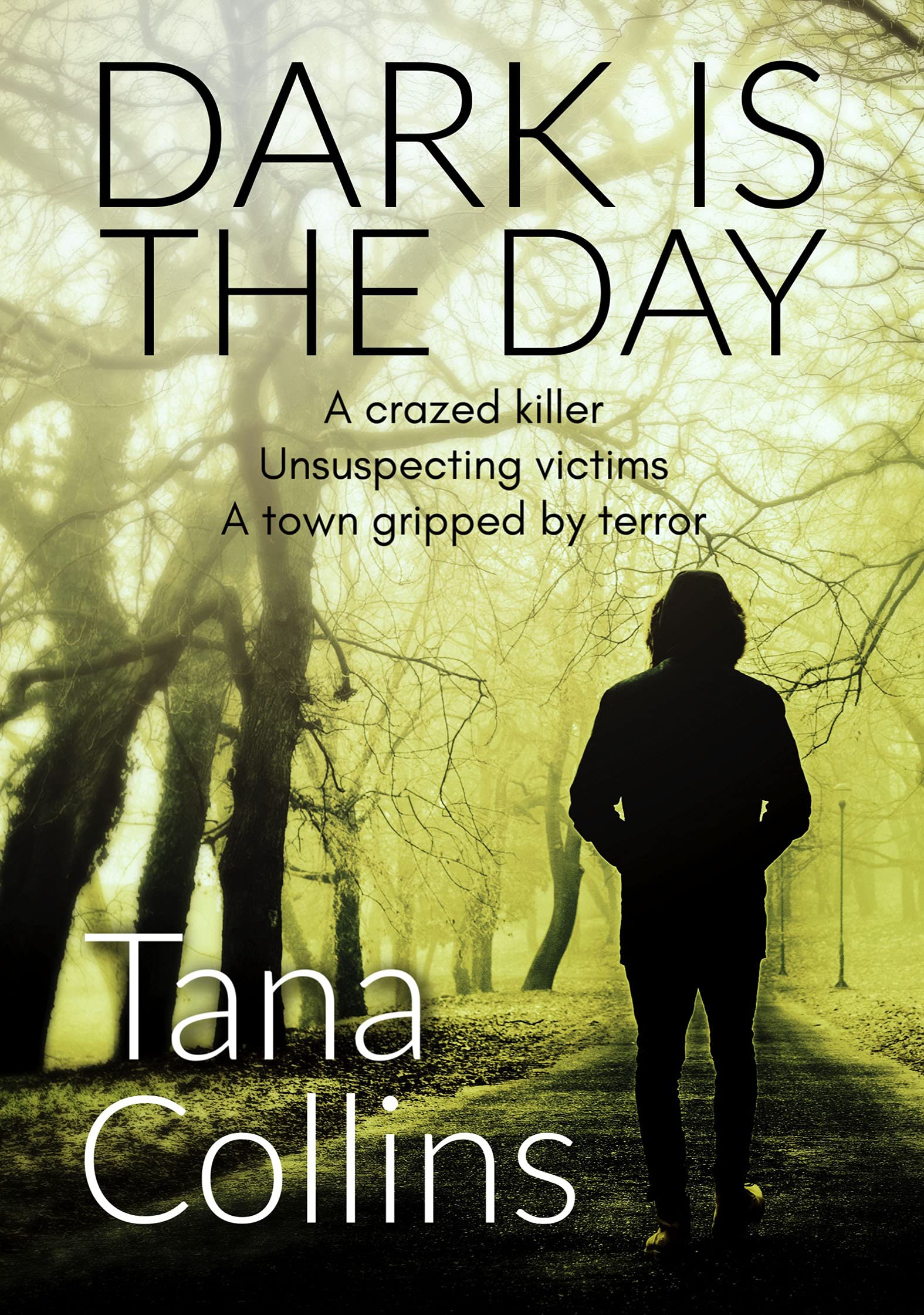 Dark is the Day: 4 (Inspector Jim Carruthers)