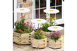 4 Pack Plant Umbrellas for Outdoor Plants