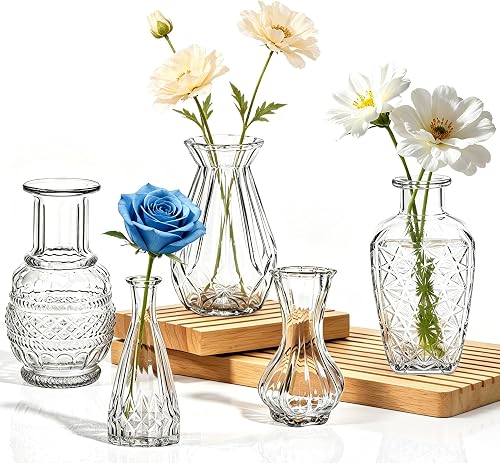 5 Pack Glass Bud Vases, Clear Small Flower Vases | Thick Glass, Vintage Embossed, Mini Vases, Wedding Centerpieces, Birthday Party, Baby Shower, Home Table Decorations