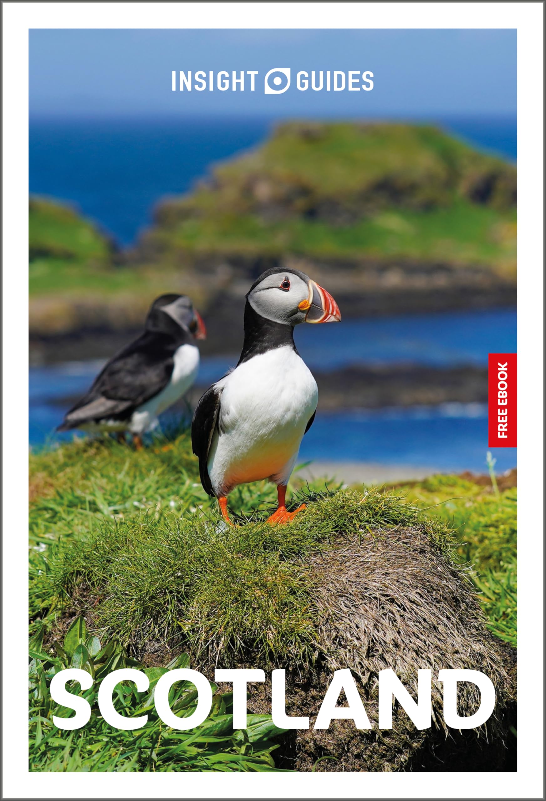 Insight Guides Scotland Travel Guide with eBook PAPERBACK 9781839054600