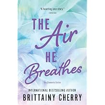 The Air He Breathes A Heartbreaking and Hopeful Slow-Burn Romance Elements, 1
