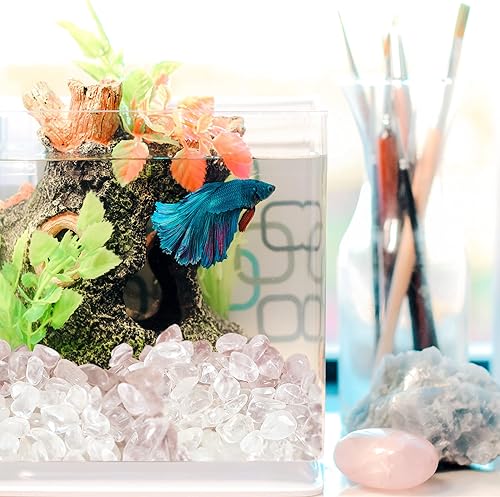 Miniatura 5 de XIANNVXI Grava para acuario, cuarzo transparente, cristales curativos pulidos naturales, a granel, rocas suculentas para plantas, suministros de