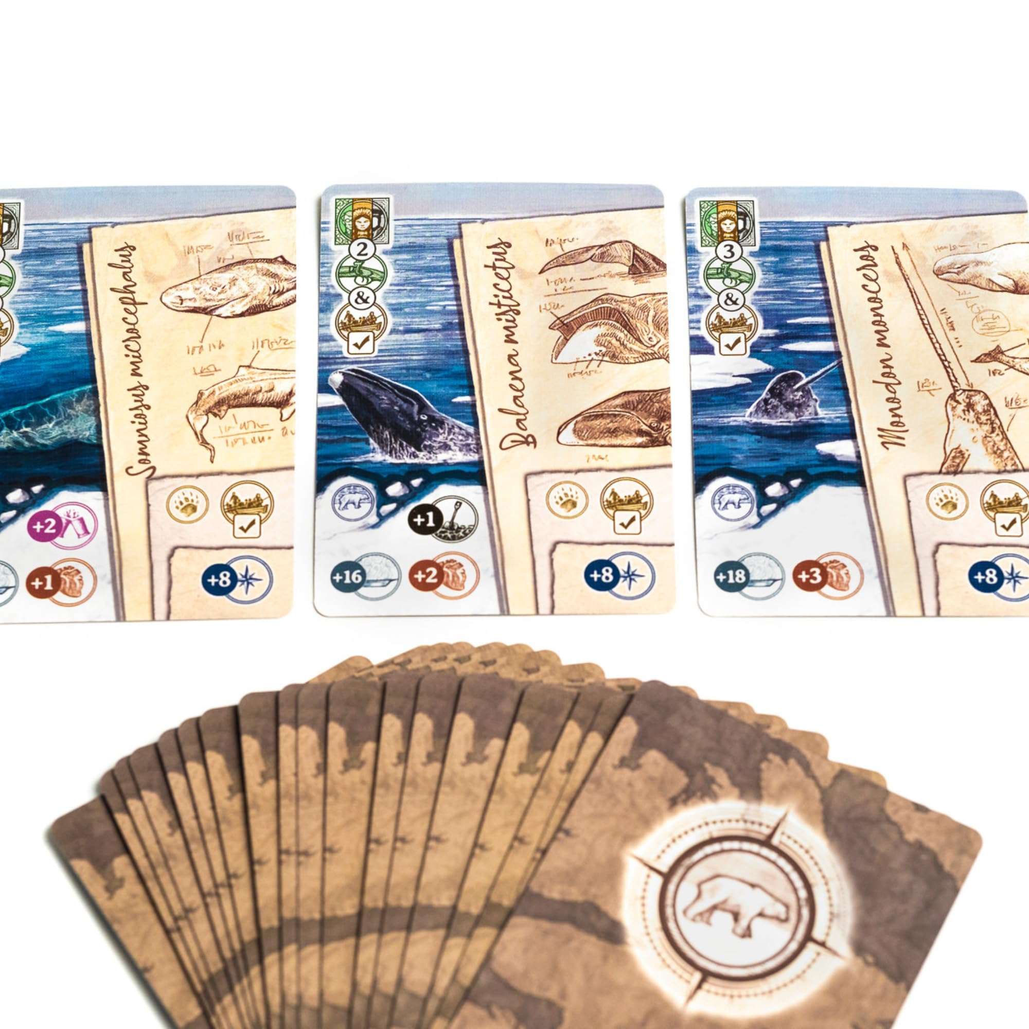 2Tomatoes Games | Through Ice and Snow | Juego de Mesa de Exploración en el Ártico | Estrategia y Aventura | 1-4 Jugadores | +14 | Español, Alemán, Inglés y Francés | Histórico, Lugares, Marítimo