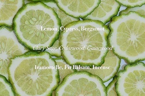 Miniatura 6 de Riviera Lazuli Eau de Parfum 3.4 fl oz/ 3.3 oz. Nuevo sellado en caja, ADONCZ019