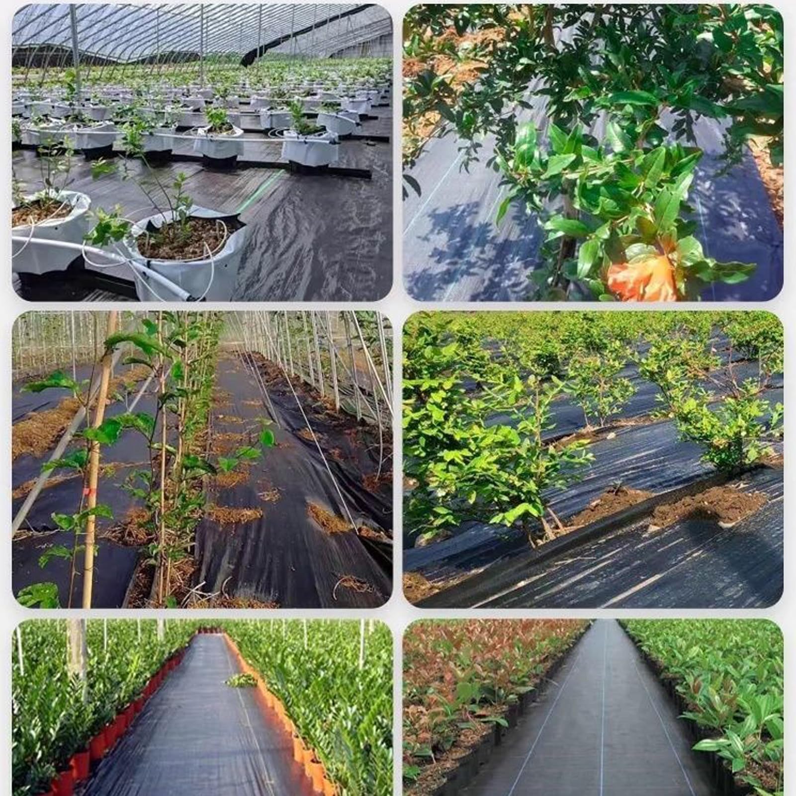 4m x 5m Telo Pacciamatura Non Tessuto 90 g/m² Anti Erbacce per Giardino & Orto Permeabile all'Acqua Protezione Contro Resistente agli Strappi Alta Stabilizzazione UV (4m x 5m = 20m²)
