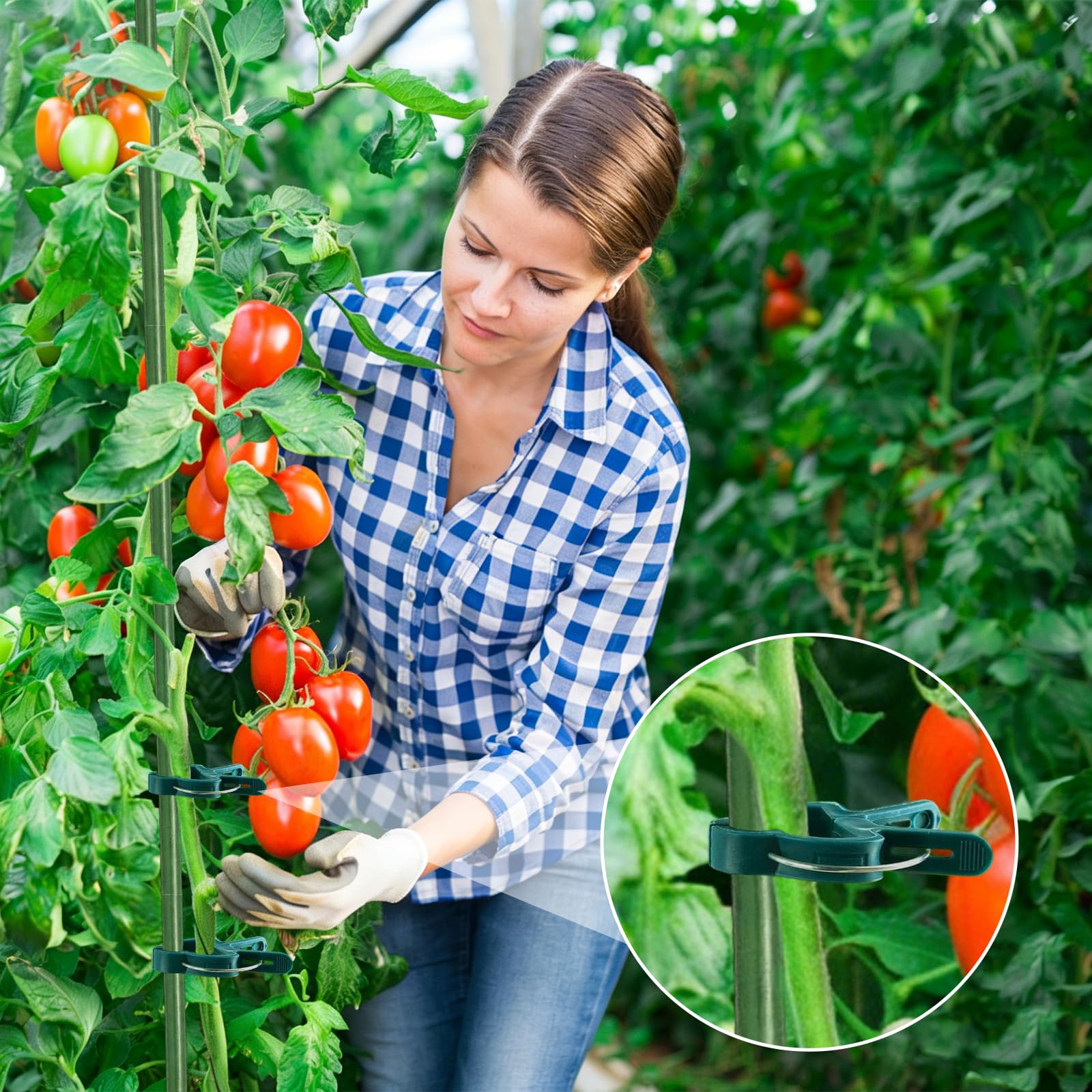 Attache Plante, Pince Attache Tomate, Clip de Support pour Plante, Clips Plantes Grimpantes, Attaches Tomates Clips Réutilisable pour Fixer et Soutenir Plantes, Légumes, Fleurs et Fruits (60PCS)