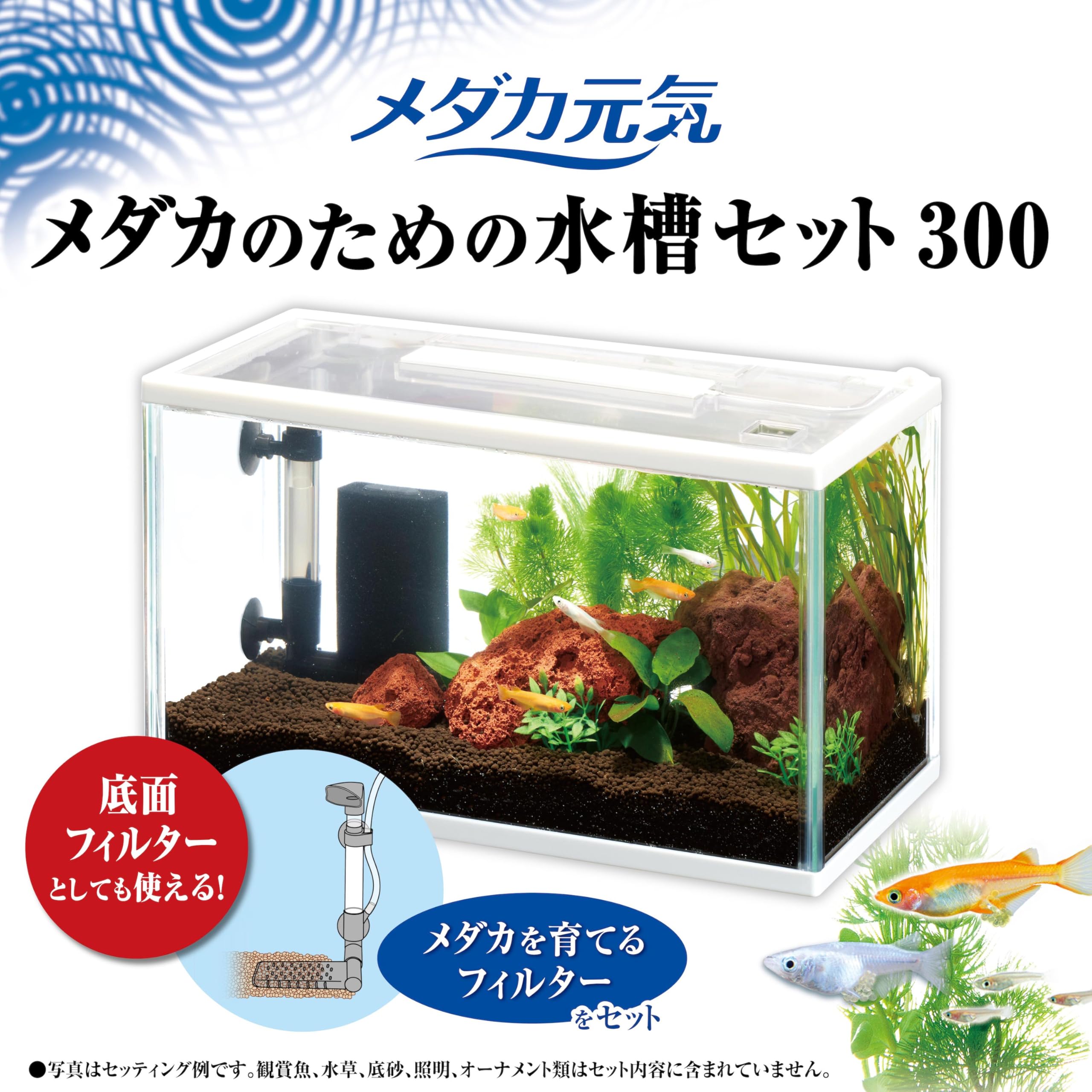 めだか、メダカ、飼育　水槽、一式 Amazon | ジェックス GEX メダカ元気 メダカのための水槽セット300