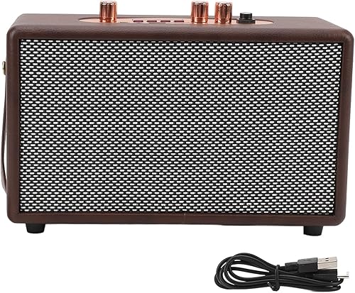 Altavoz portátil retro, altavoz vintage de piel sintética con 10 W x 2 altavoces duales, tiempo de reproducción de 8 horas de duración, entrada
