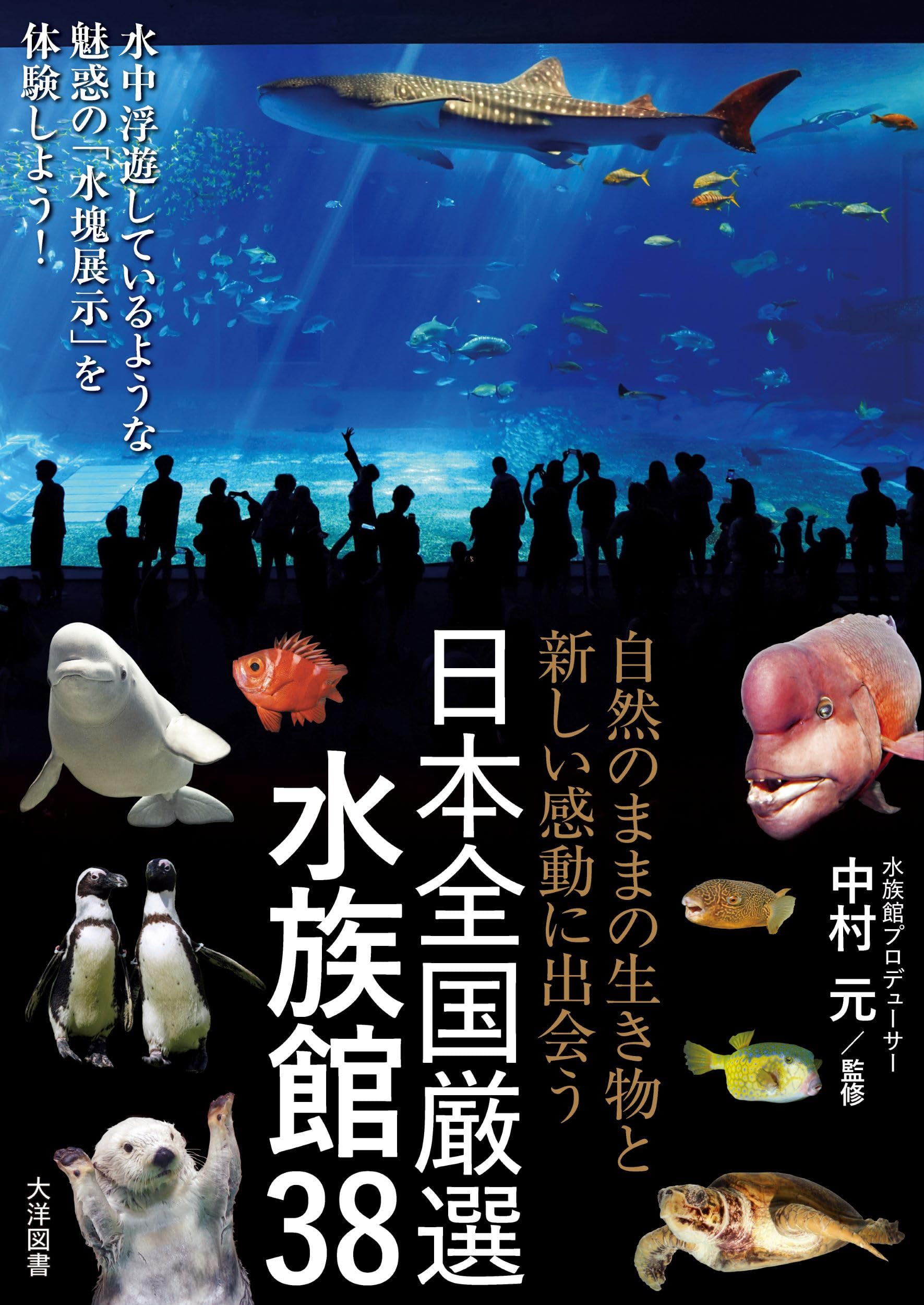 自然のままの生き物と新しい感動に出会う 日本全国厳選水族館38 | 中村