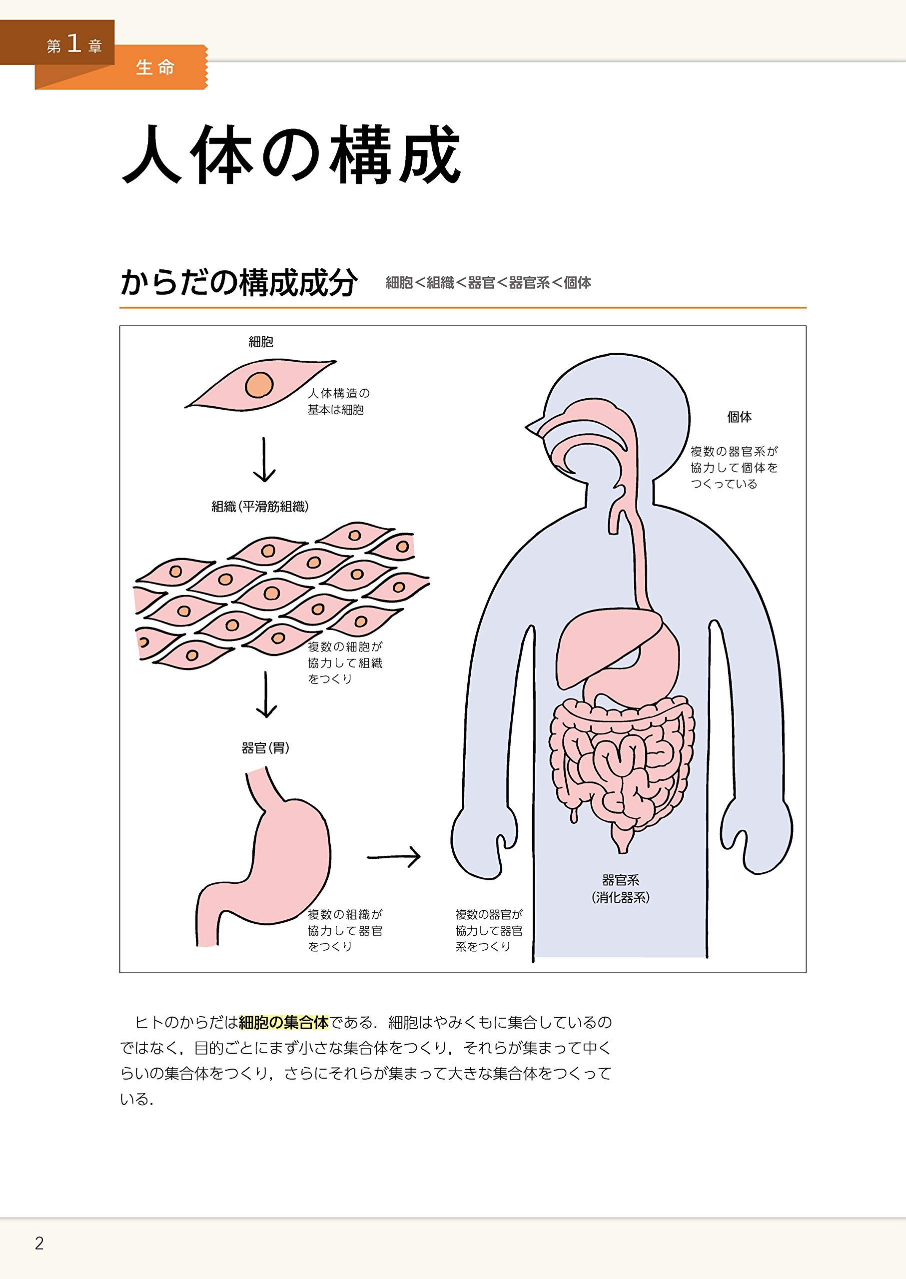 イラストでまなぶ 人体のしくみとはたらき 第3版 田中 越郎 本 通販 Amazon