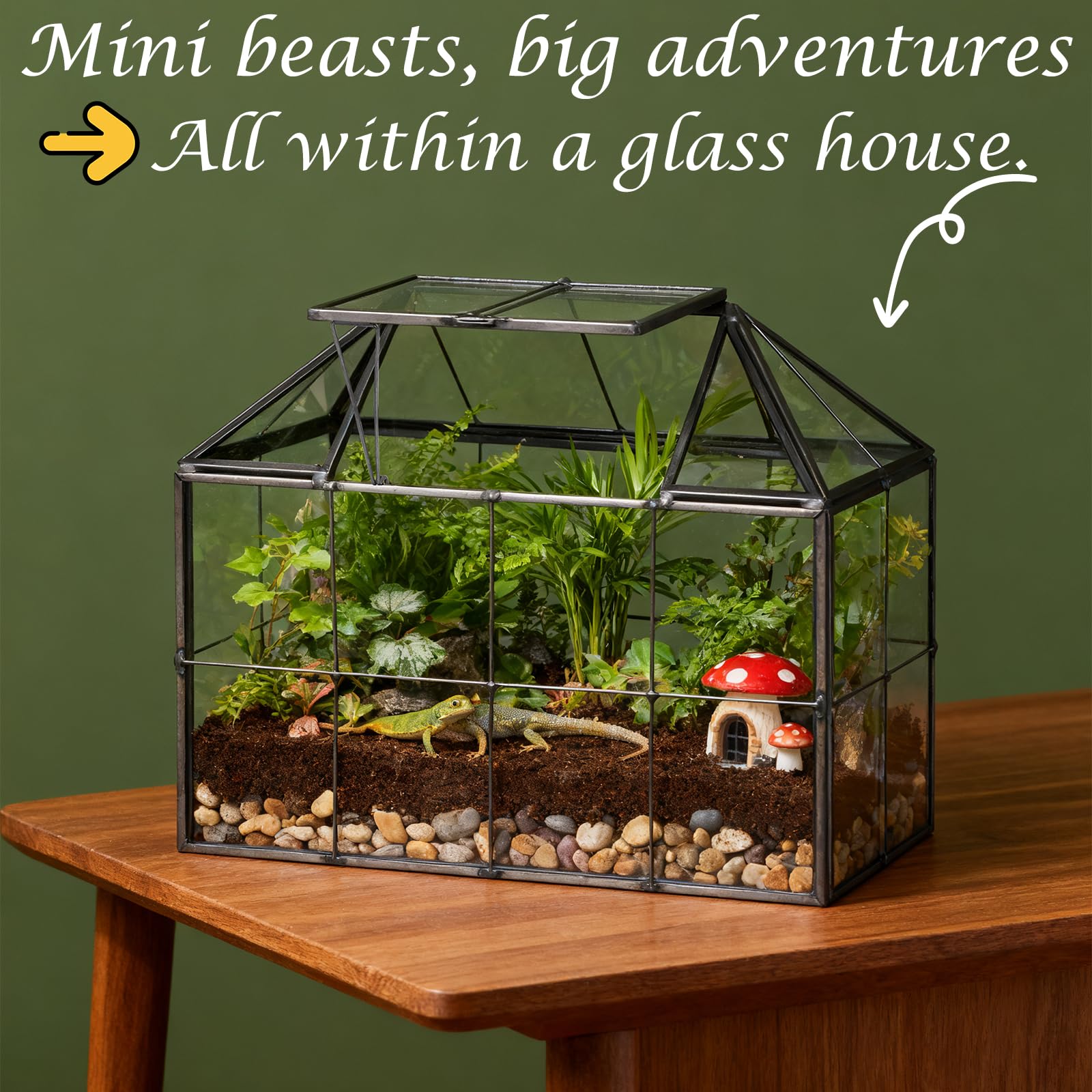 EFUTURETIME Mini Jardinière Terrarium Plante 23,3 x 13,6 x 18 cm, Miniature Serre Interieur Forme de Maison Idéal pour Succulentes Cactus et DIY (sans Plantes)