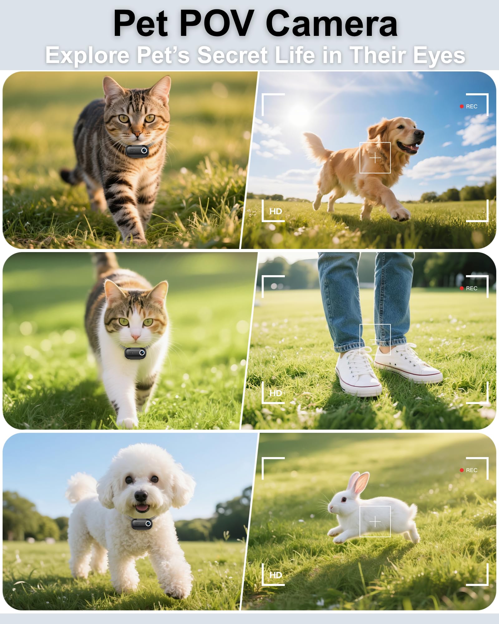 Collare per fotocamera per cani e gatti, 1080p HD registrazione video POV Cam per cani di taglia media e gatti grandi, taglia M, mini action camera ricaricabile con riproduzione USB su PC