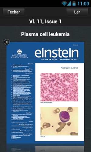Revista Einstein