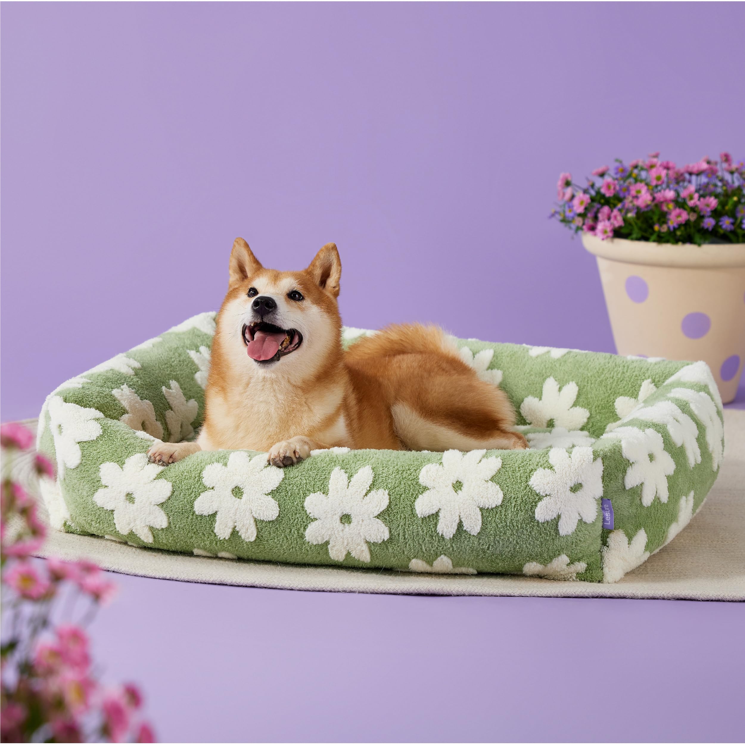 Amazon.com : Lesure Cute Dog Bed for Large Dogs - Washable