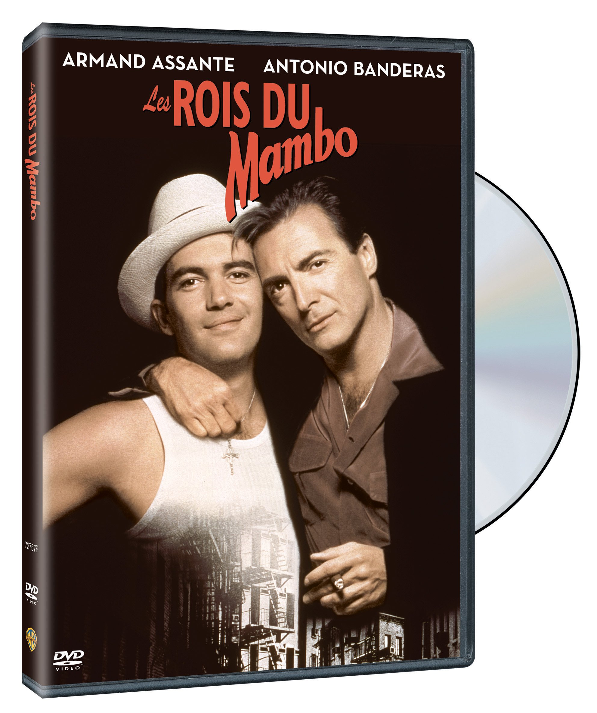 Mambo Kings (WS)(FRENCH)(DVD) [DVD]