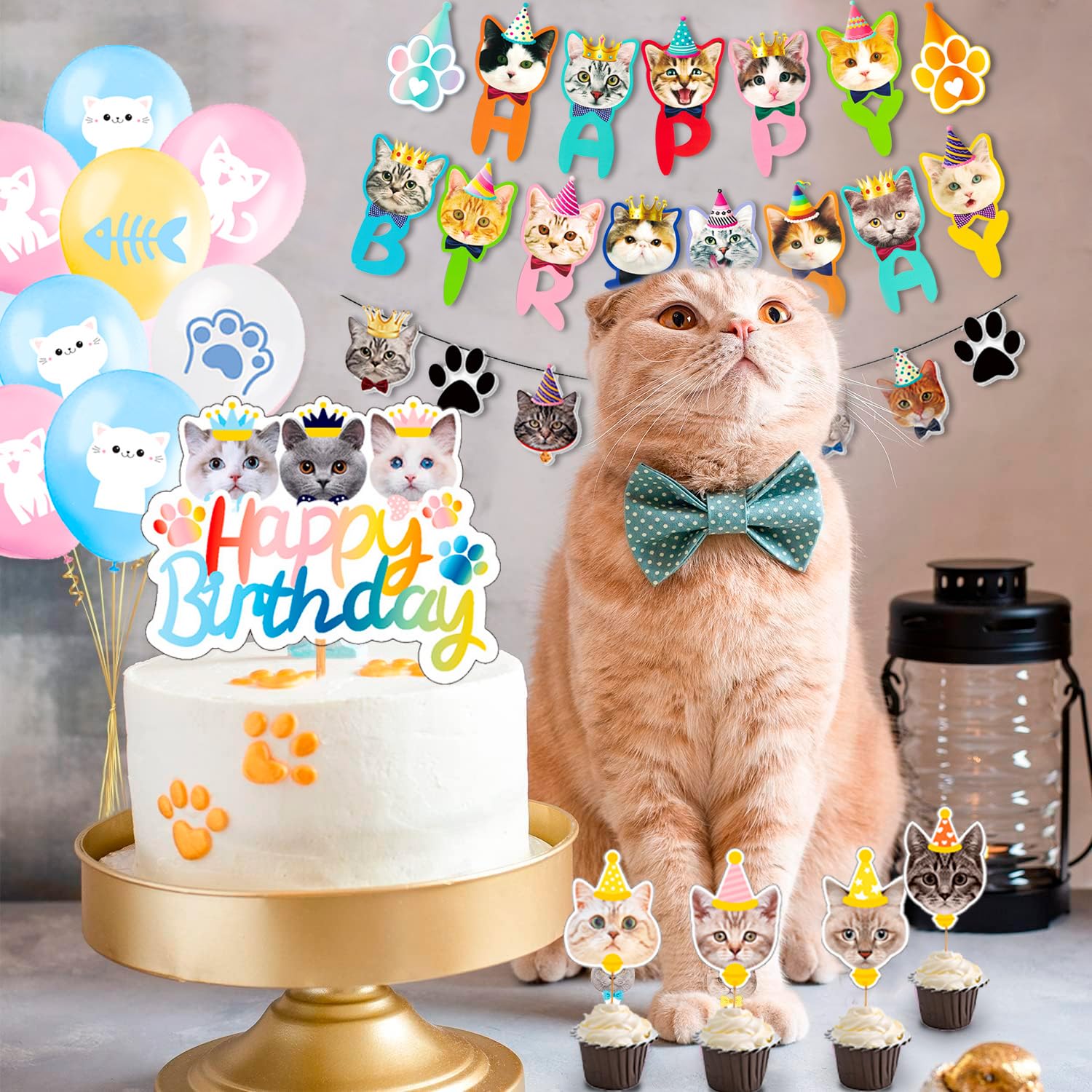 Decorazioni per Feste di Gatti,93 Pezzi Set Stoviglie & Decorazioni Gatti Compleanno Kit-Striscione Compleanno Gatto Piatti Tovaglioli Tovaglia etc Forniture per Feste di Compleanno di Gatti