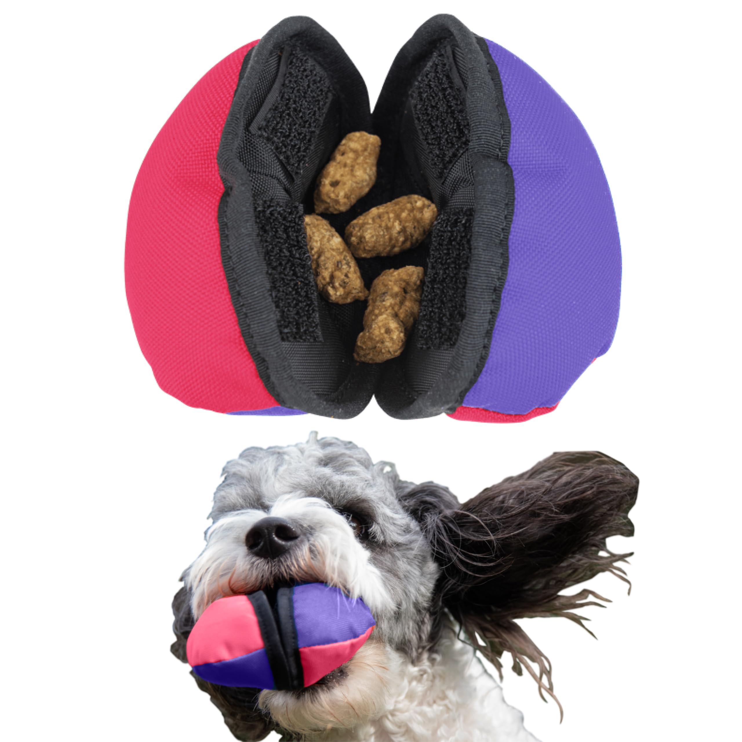 Tug-E-Nuff The Clam – Distributeur de friandises pour Chien Compact avec mécanisme d'ouverture astucieux, idéal pour Le Dressage interactif des Chiens, adapté aux Poches et Taille 11,4 cm
