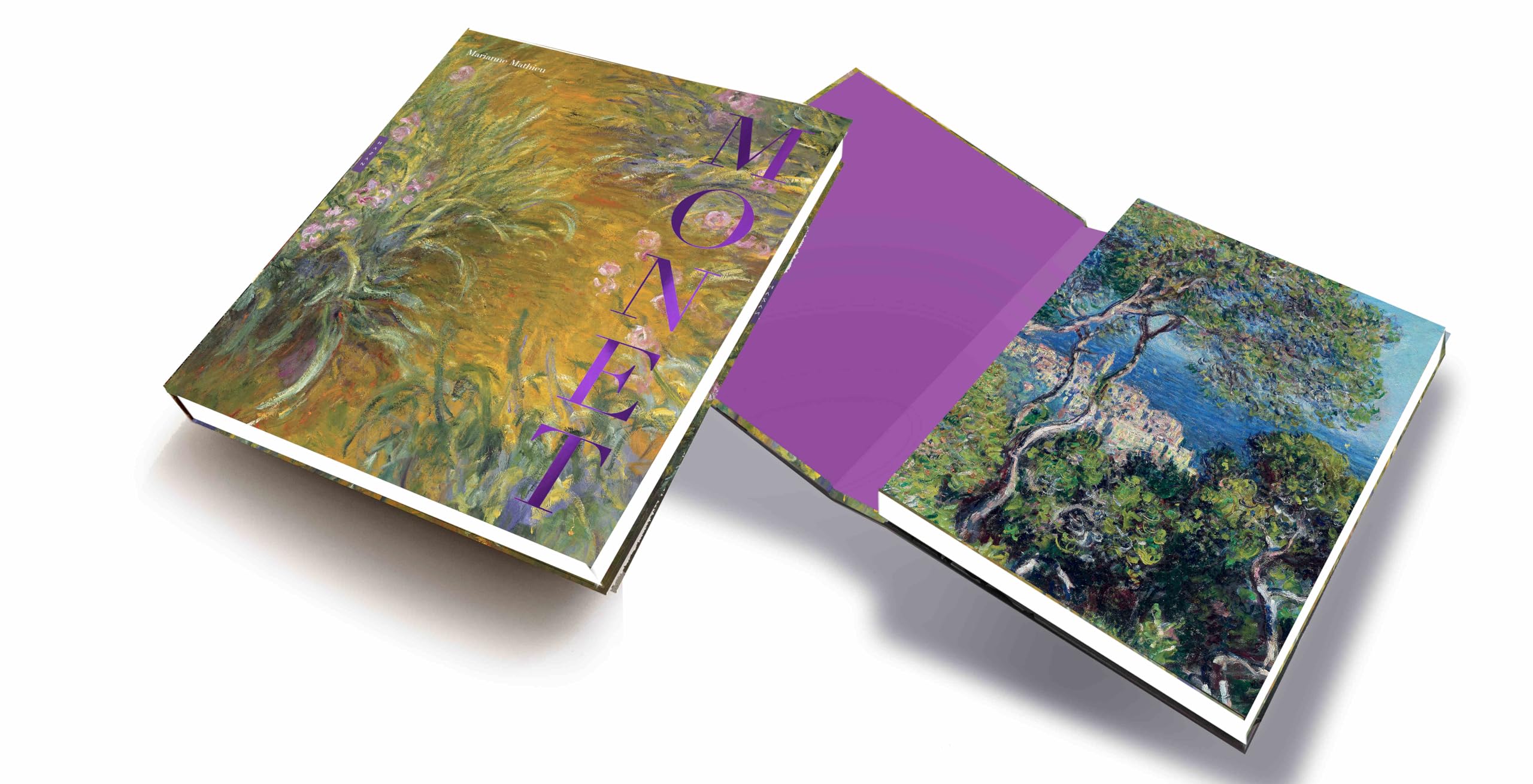 Monet: Par-delà l'horizon