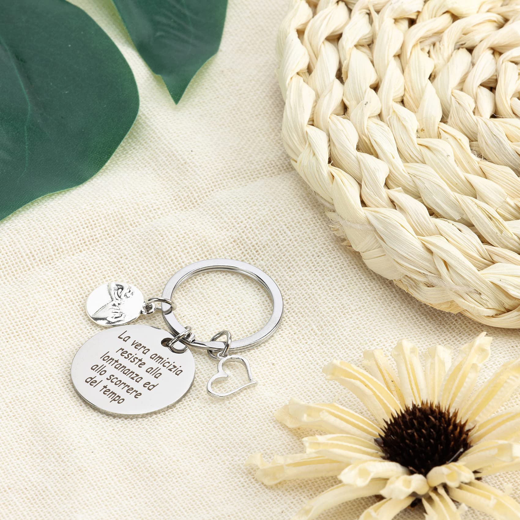 Regalo Amica Compleanno Idee Regalo Originali per Amica Regali Migliore Amica Portachiavi Amicizia Regalo Sorella Compleanno Regalo Amica Speciale - Gli Amici Sono La Famiglia Che Ci Siamo Scelti