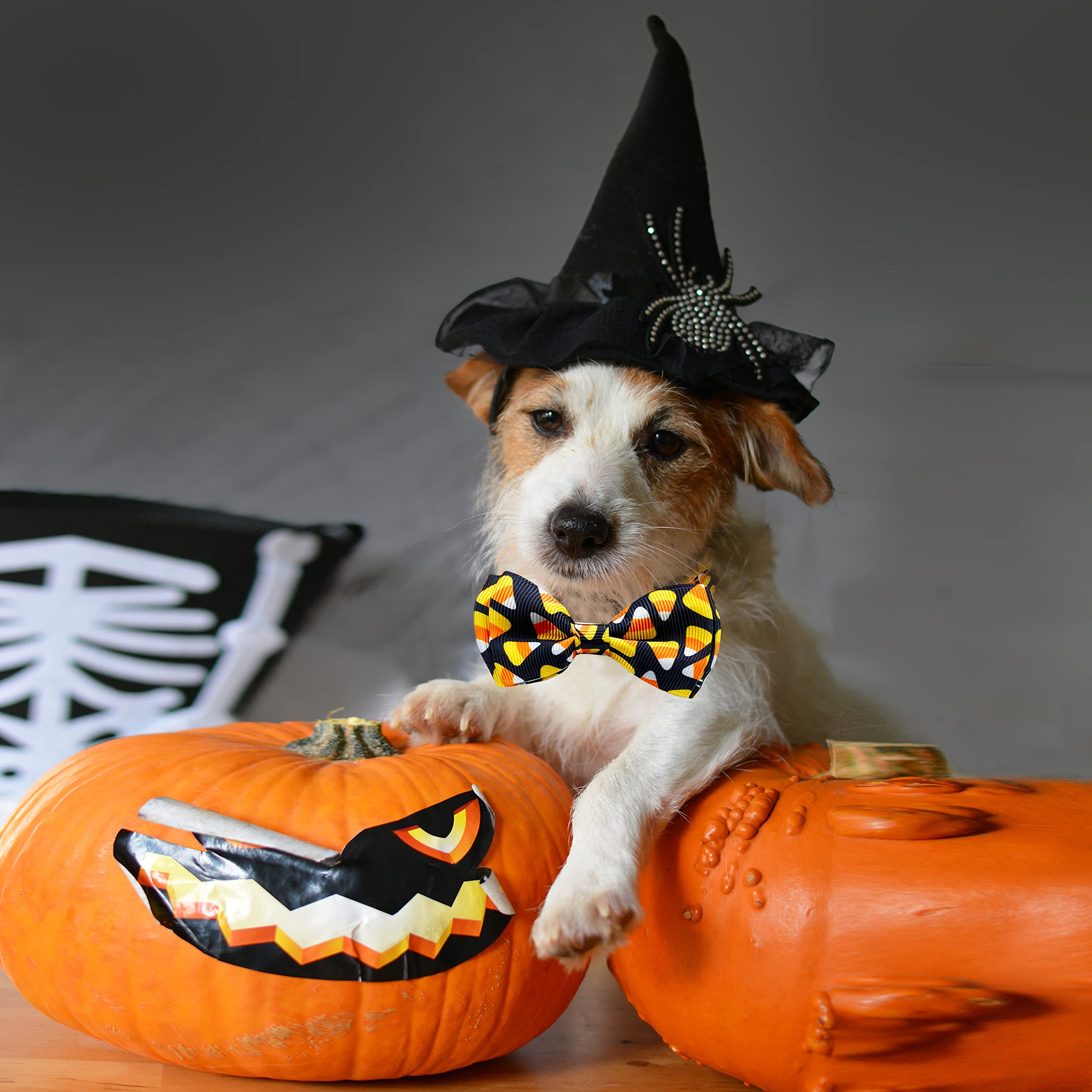 Pohshido Halloween Katzenhalsband Mit Fliege – 2 Stück, Verstellbar, Mit Glöckchen, Totenkopf & Geister-Motiv