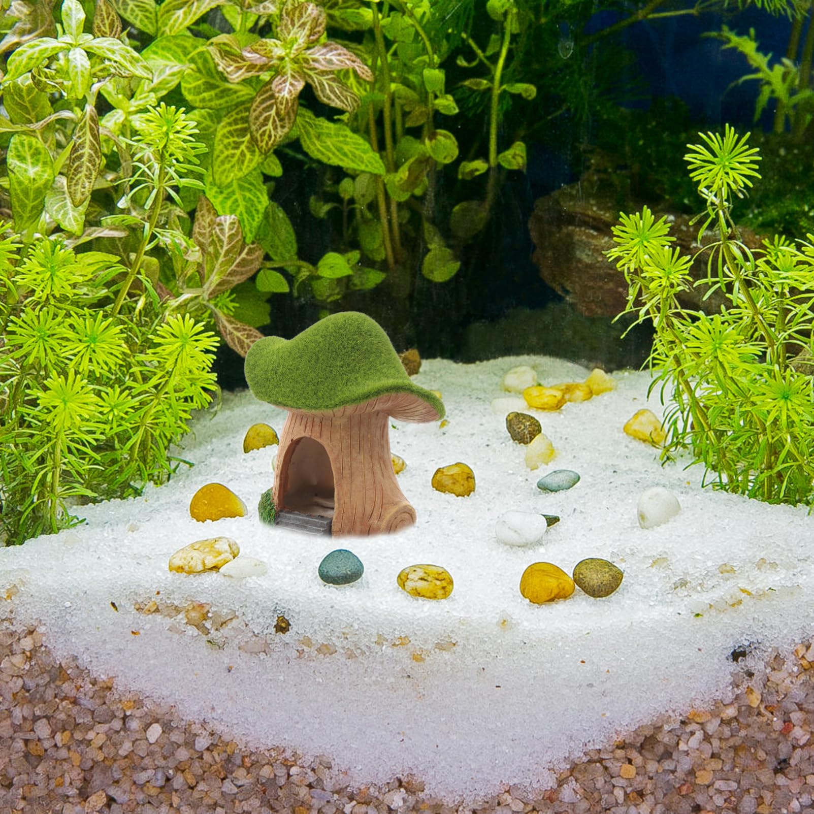 YARNOW 4 Pièces Maison de Champignons en Mousse Décoration Aquarium Decor Aquarium décor Aquarium Petit Cordon Attache rétractable pour Chien abri de Poisson décorations d'aquarium résine