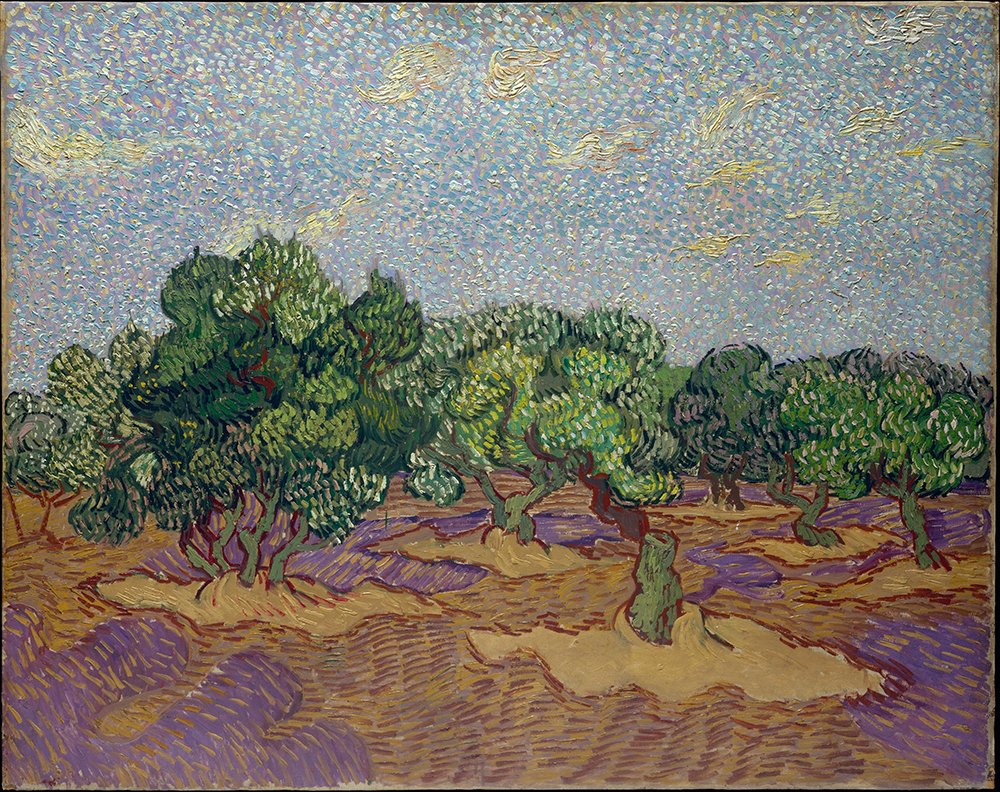 Tableau Olive Grove de Van Gogh, impression mate grand format avec cadre noir