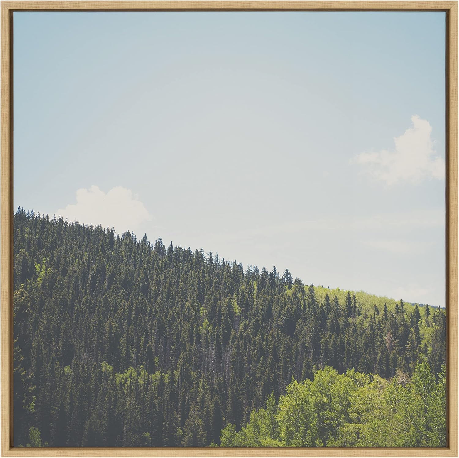 Kate and Laurel Sylvie Above the Tree Line Framed Canvas Wall Art by Laura Evans, 30x30 Natural, Decorative Forest Landscape Art for Wall