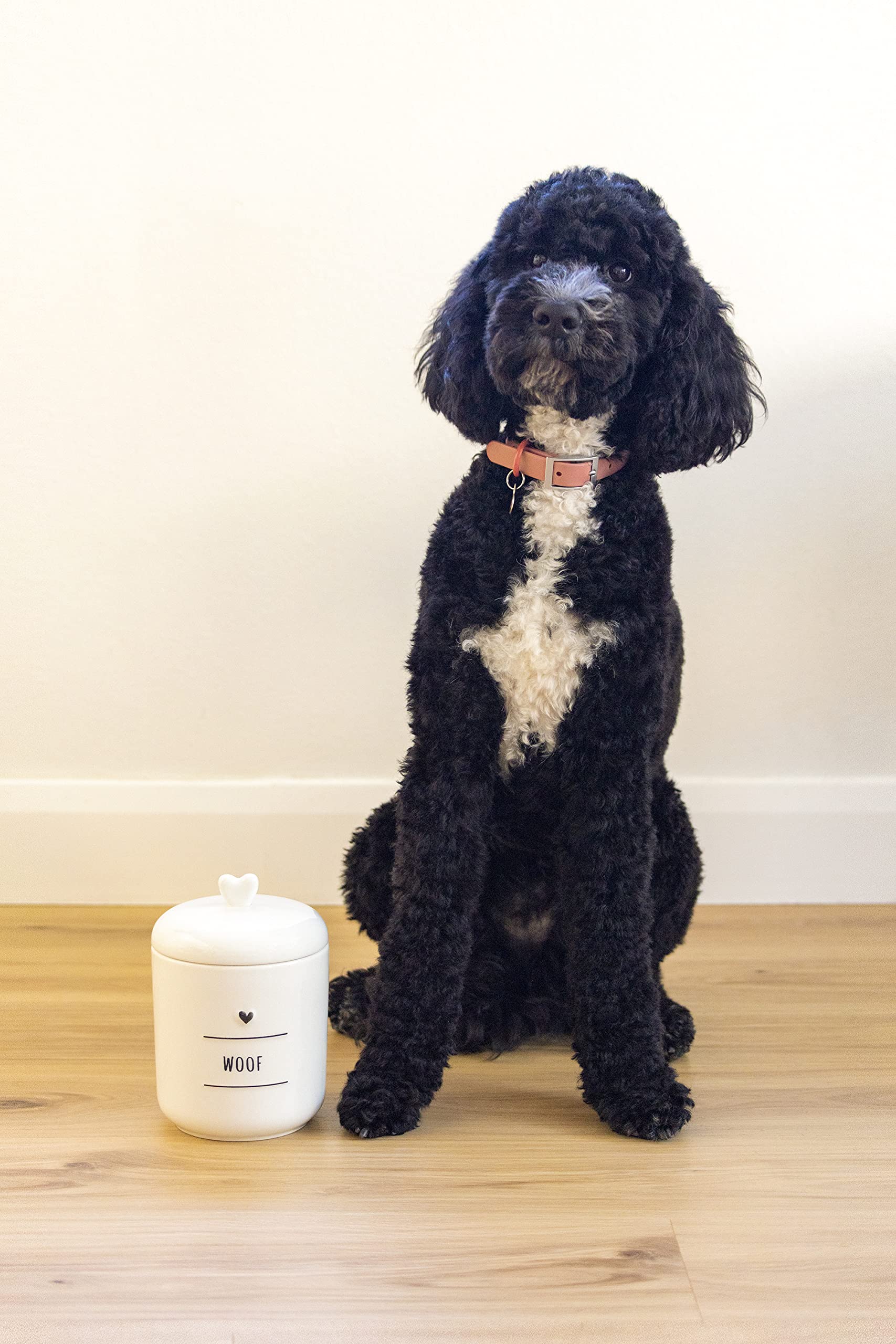 Grace Teaware Woof Pet Treat Jar Dog Cookie Ceramic