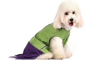 Marvel Comics for Pets: A Hulk Unleashed Dog Costume