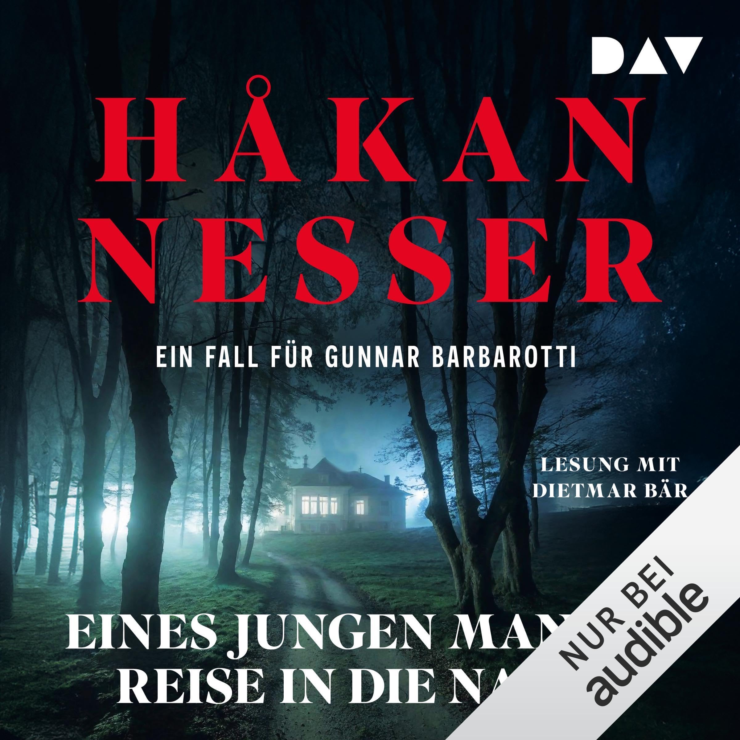 Eines jungen Mannes Reise in die Nacht