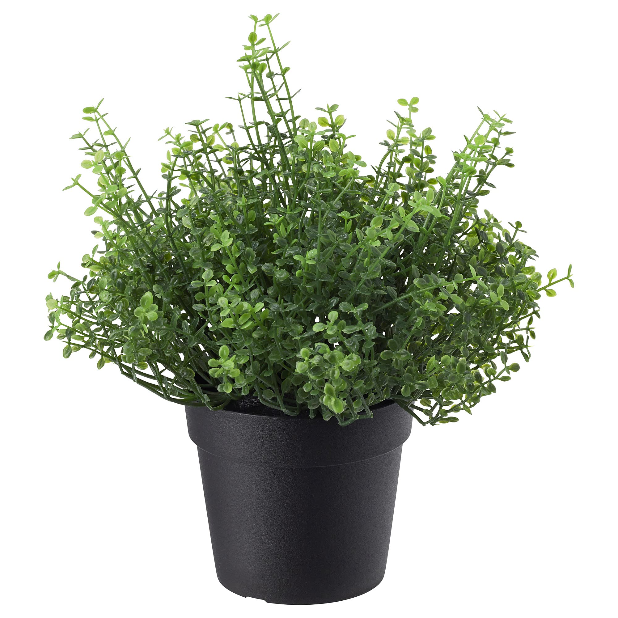 Ikea FEJKA Artificial Potted Plant, in/Outdoor Baby’s tears 9 cm-image-18