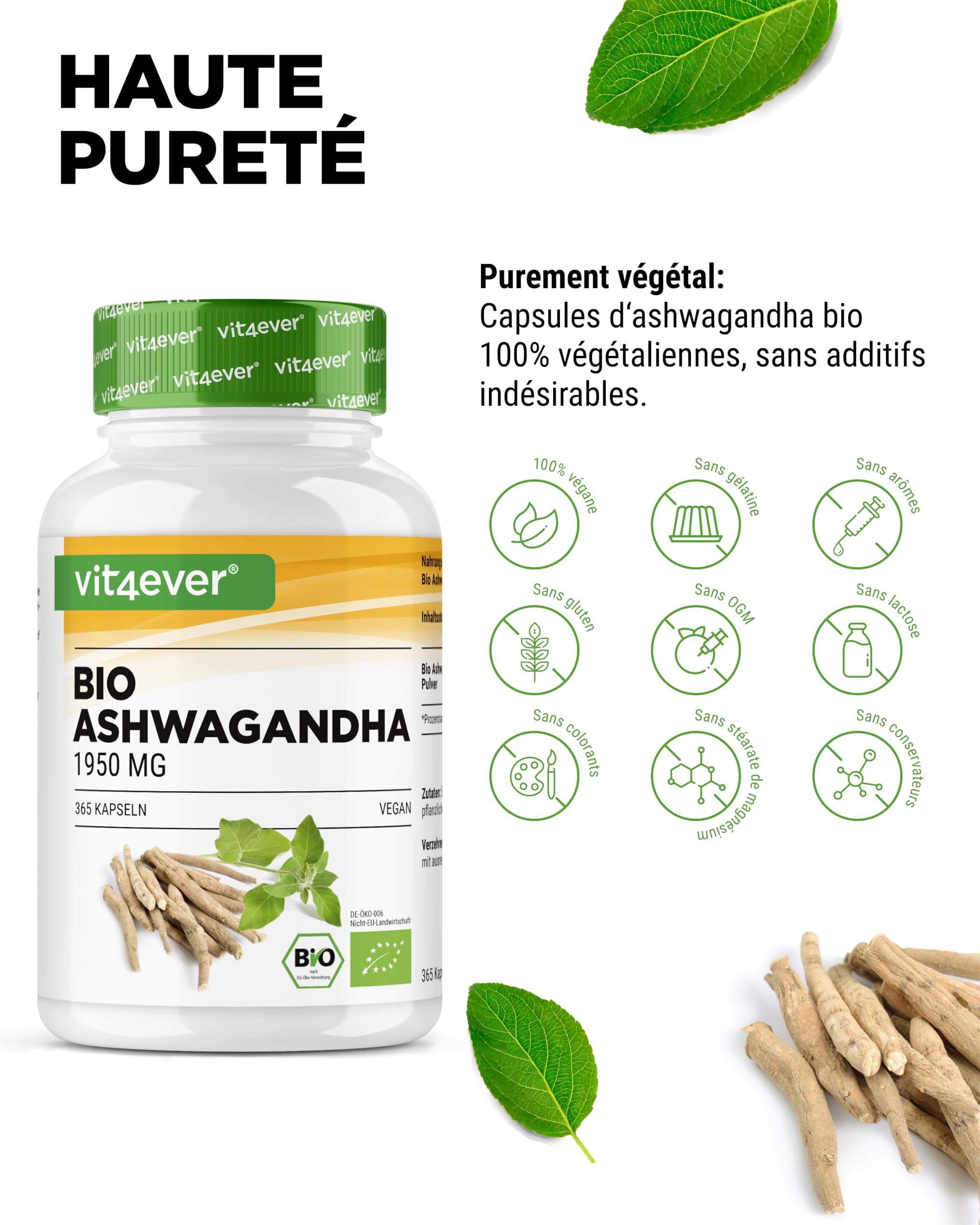 vit4ever Original Bio Ashwagandha - 365 gélules - Hautement dosé avec 1950mg par portion journalière - Véritable baie du sommeil indienne - Testé en laboratoire - Vegan