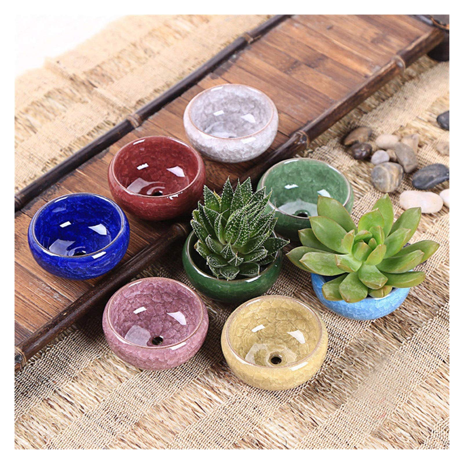 Amazon.co.jp: 多肉植物鉢 ジューシーな植物のための8個/ロットの氷の