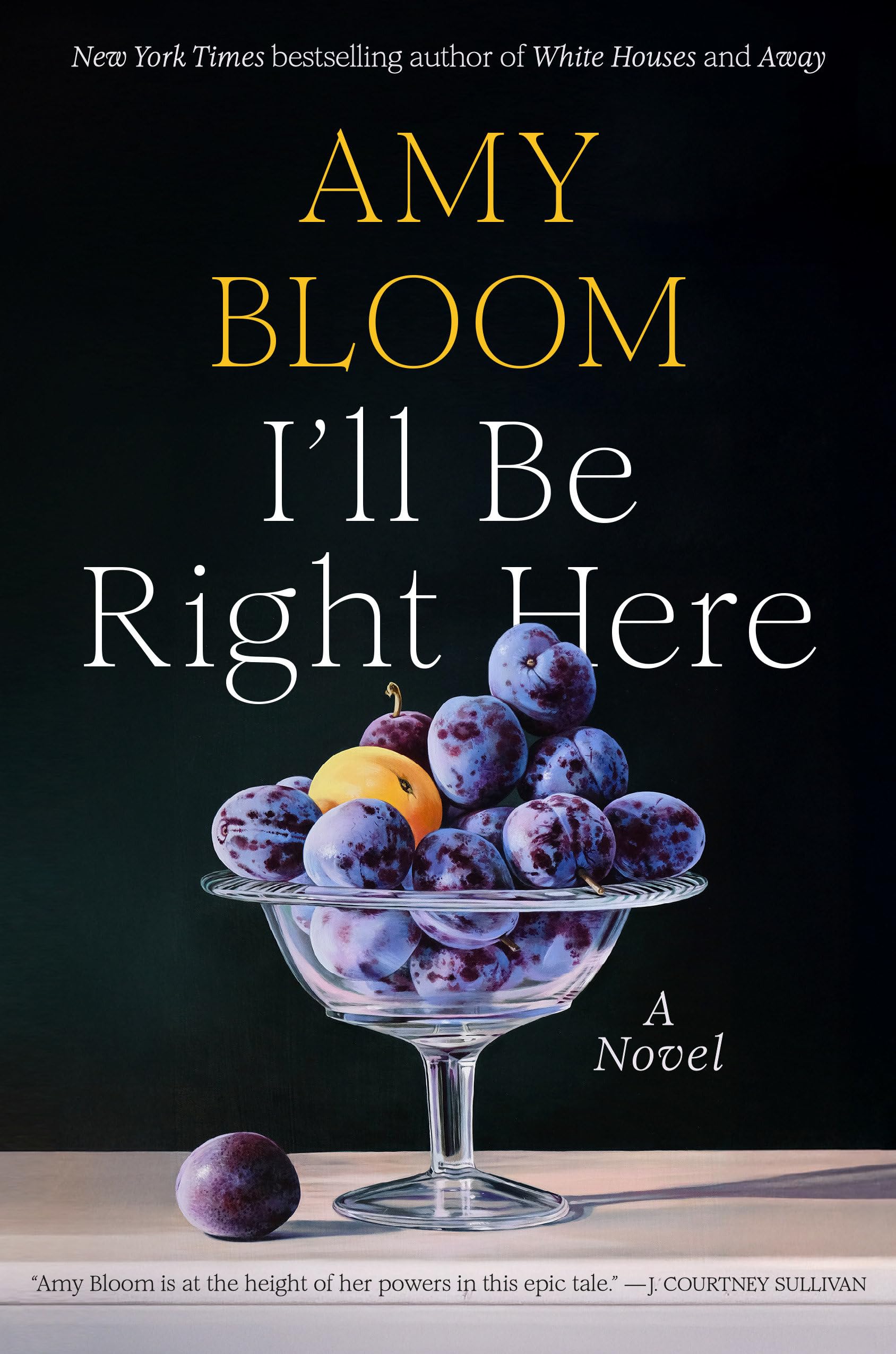 Buy I'll Be Right Here: A Novel โ BookShops.in