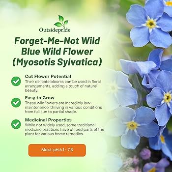 Myosotisページ Amazon.com : Outsidepride Blue Forget Me Not Seeds - 1/8 lb