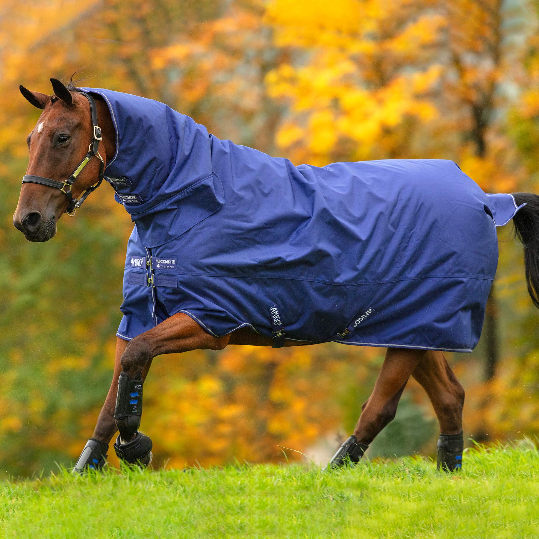 Couverture Amigo Hero 900 All In One Med 200g pour poney et cheval en taille 5ft6