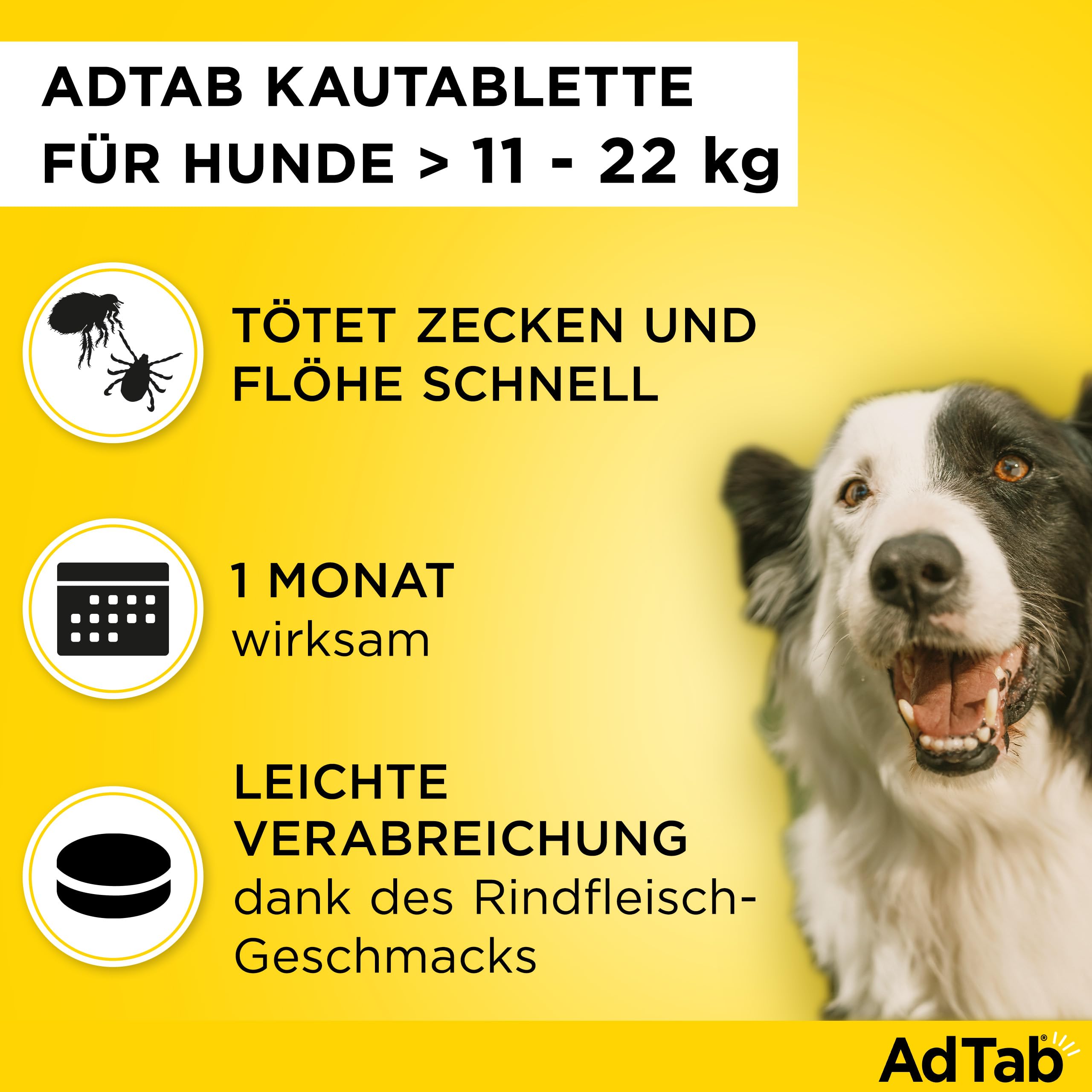 AdTab Hund 11-22 kg - Kautablette gegen Zecken & Flöhe, Doppelpack(6 St.) | Kleine Kautablette mit Rindfleischgeschmack. 3 Monate Floh- & Zeckenschutz für deinen Hund, schnelle Wirkung & einfache Gabe.
