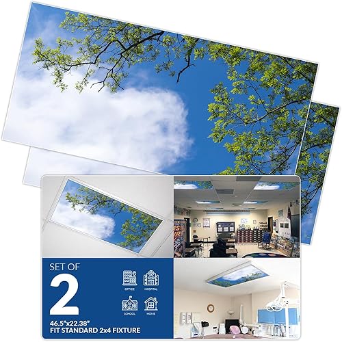 Octo Lights Cubiertas de luz fluorescente para luces de techo de aula 2 x 4 (22.38 x 46.5 pulgadas) mejoran el enfoque, eliminan dolores de cabeza,