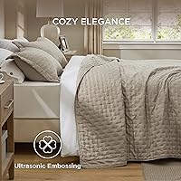 Vista 4 de Bedsure - Juego de edredón tamaño Queen, ultra suave, para dormitorio de estilo granja moderno, cubrecama ligero para todas las estaciones, colcha