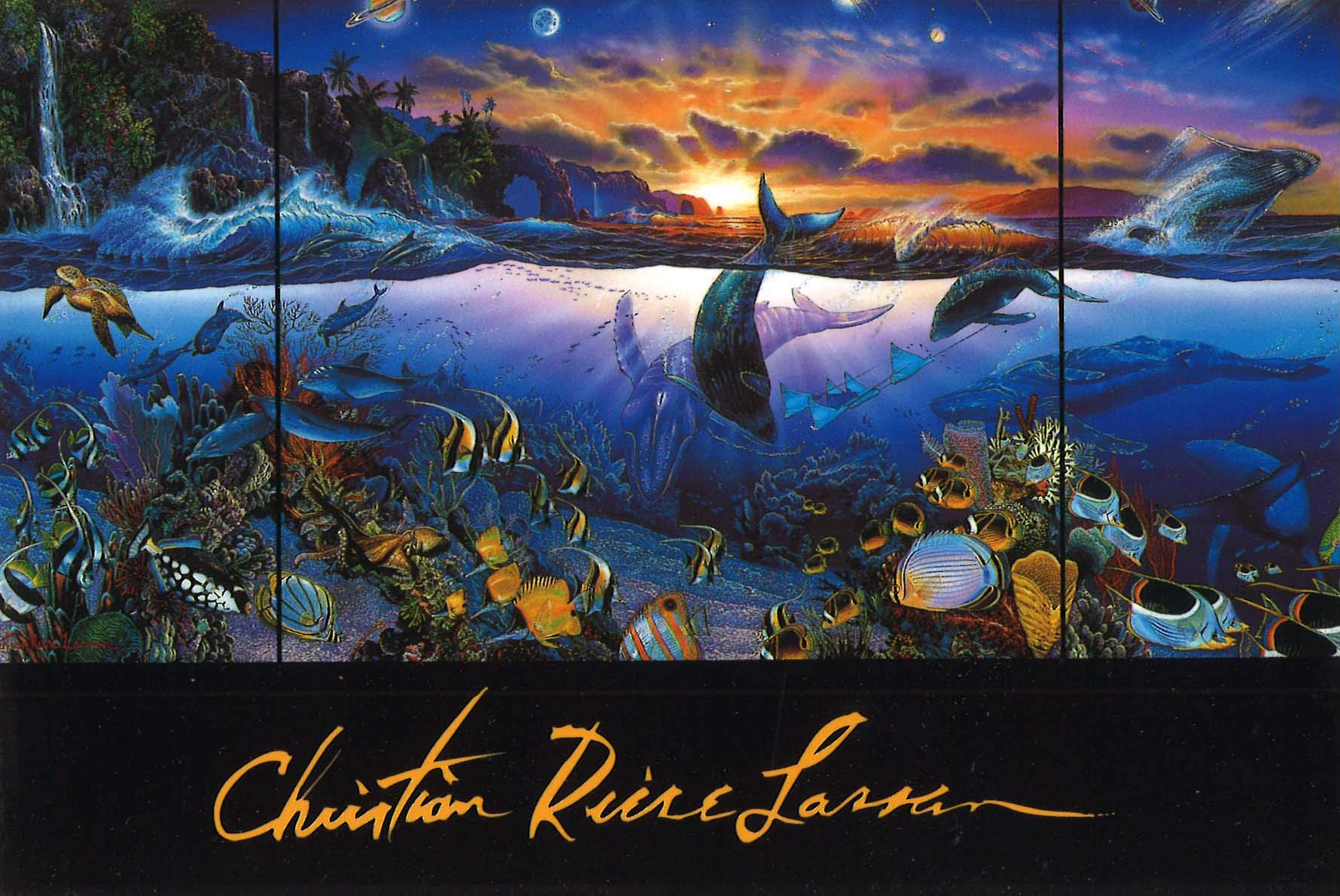 Amazon.co.jp: Christian Riese Lassen絵画額 □ラッセン 1500絵画額 