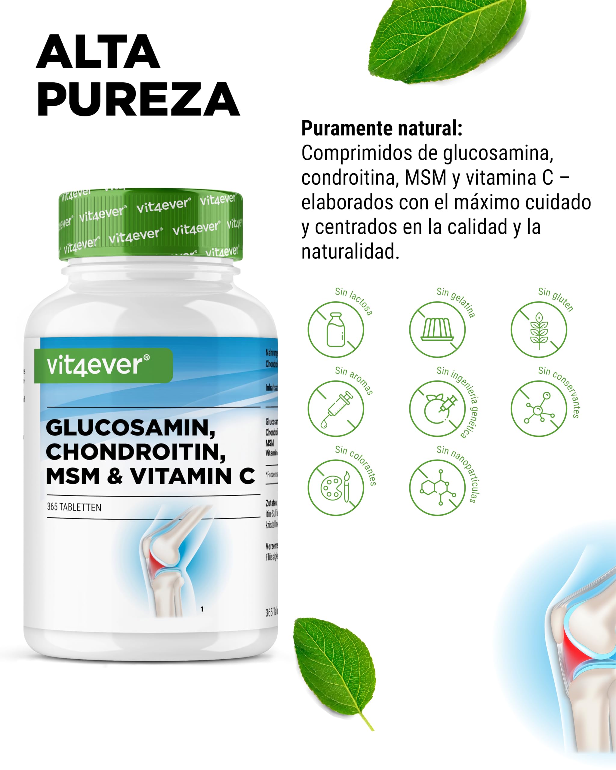 Glucosamina Condroitina MSM - 365 Comprimidos - Altamente dosificado con 2000 mg al día - Suministro para 3 meses - Sin aditivos no deseados