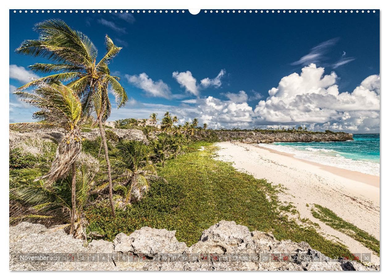 Karibik - Traumstrände (Wandkalender 2026 DIN A2 quer), CALVENDO Monatskalender: Sonne, Meer und karibische Traumstrände (CALVENDO Natur)