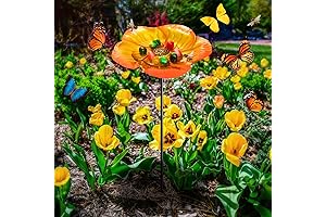 Orange Flower Bee Watering Station, a Relaxing Oasis for Pollinators
