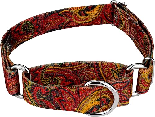 Country Brook Petz - Collar de perro Martingala de cachemira de fuego, colección Paisley con 6 diseños elegantes (1 pulgada, mediano)